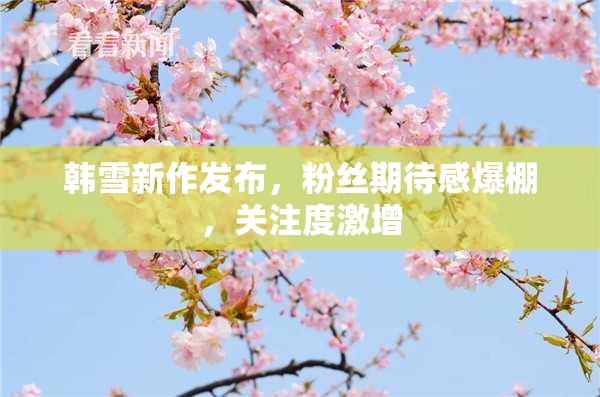 韩雪新作发布，粉丝期待感爆棚，关注度激增