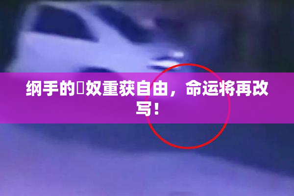纲手的婬奴重获自由，命运将再改写！