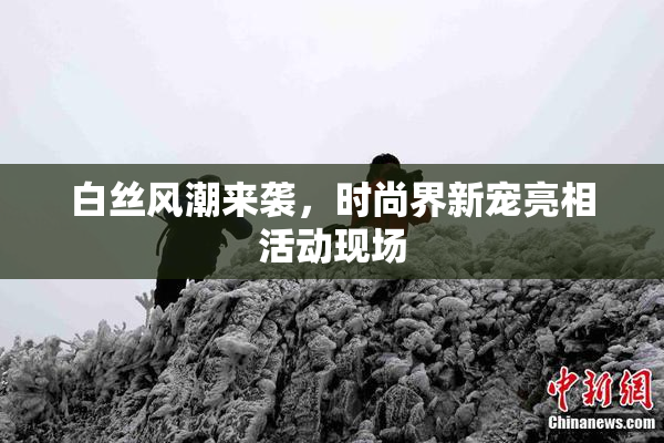白丝风潮来袭，时尚界新宠亮相活动现场