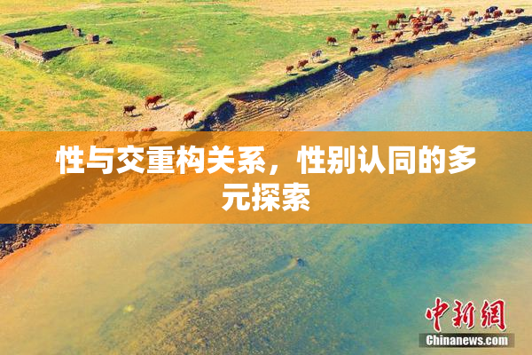性与交重构关系，性别认同的多元探索