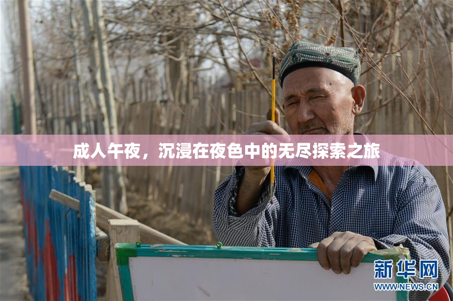 成人午夜，沉浸在夜色中的无尽探索之旅
