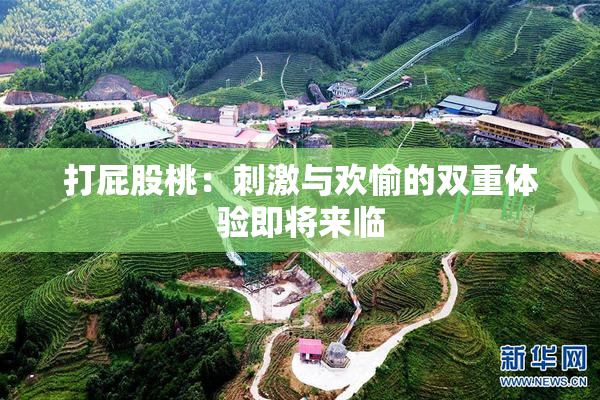 打屁股桃：刺激与欢愉的双重体验即将来临
