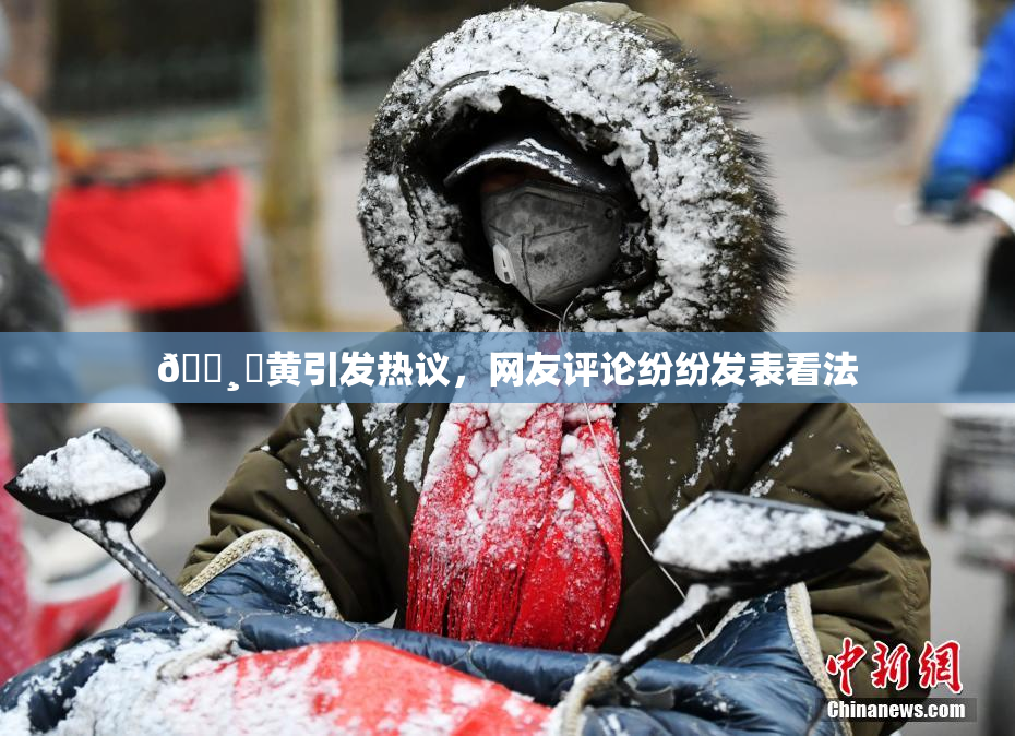 🌸‌黄引发热议，网友评论纷纷发表看法