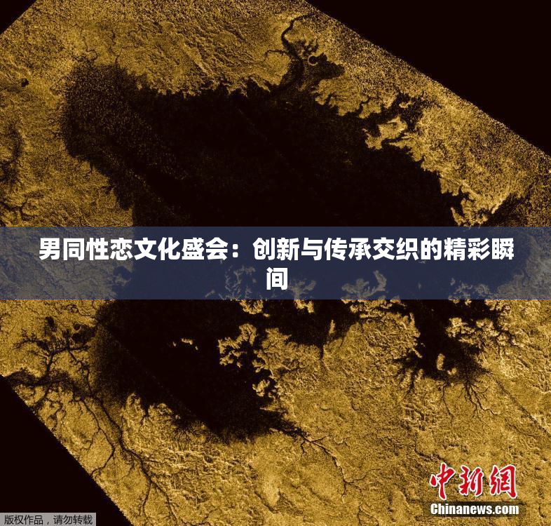 男同性恋文化盛会：创新与传承交织的精彩瞬间