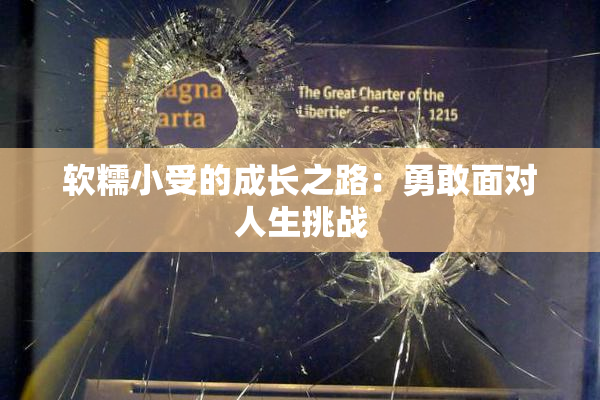 软糯小受的成长之路：勇敢面对人生挑战