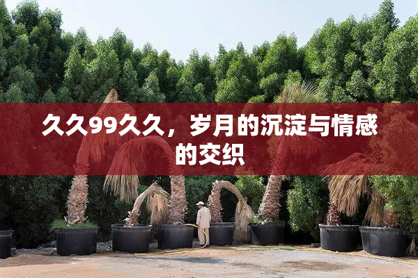 久久99久久，岁月的沉淀与情感的交织