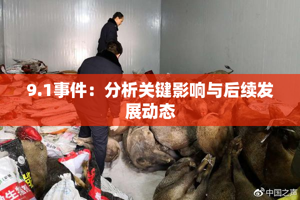 9.1事件：分析关键影响与后续发展动态