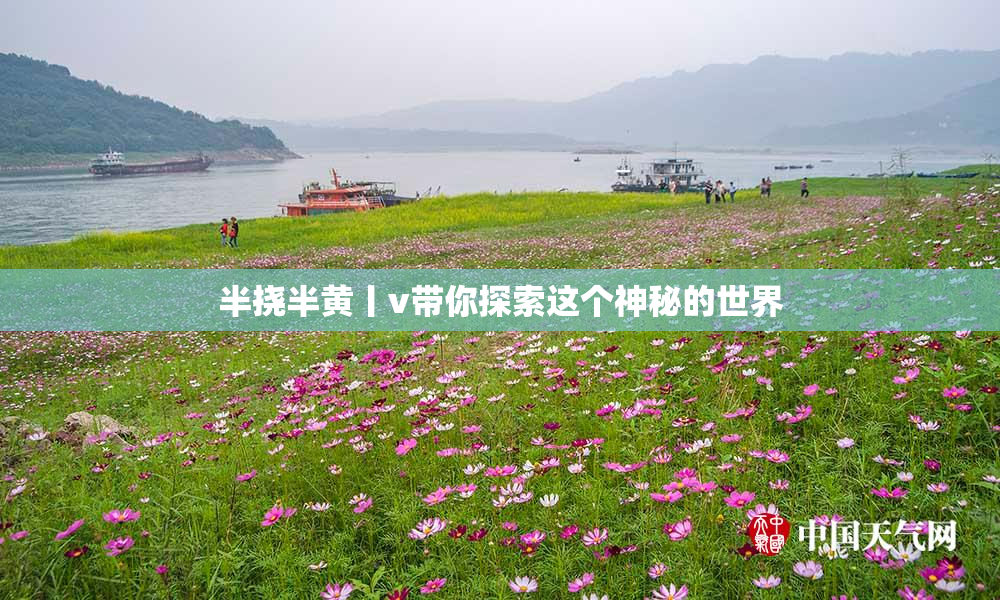 半挠半黄丨v带你探索这个神秘的世界
