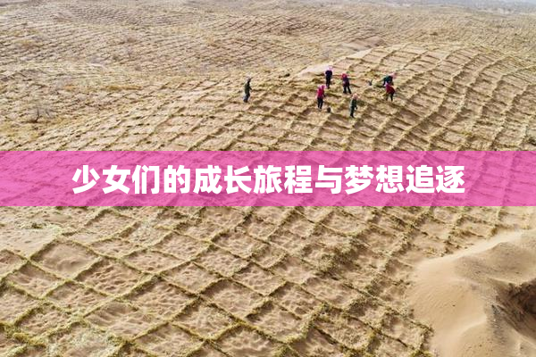 少女们的成长旅程与梦想追逐