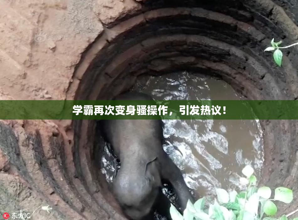 学霸再次变身骚操作，引发热议！