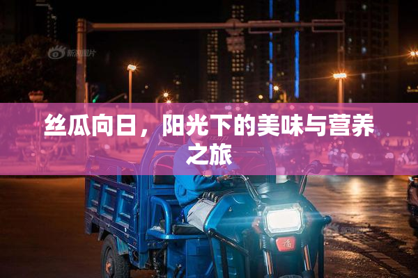 丝瓜向日，阳光下的美味与营养之旅