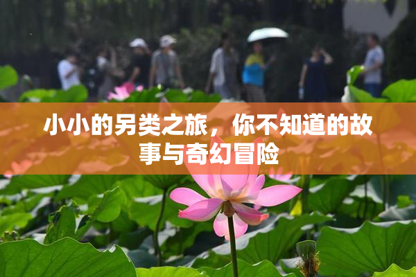小小的另类之旅，你不知道的故事与奇幻冒险