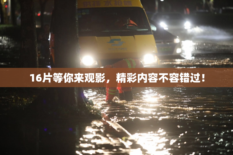 16片等你来观影，精彩内容不容错过！
