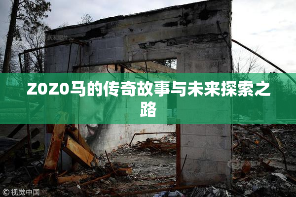 Z0Z0马的传奇故事与未来探索之路
