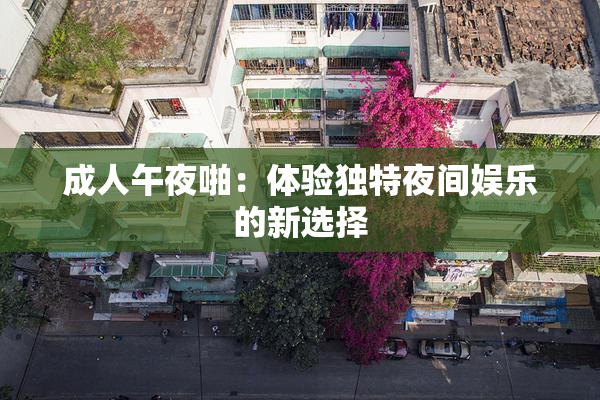 成人午夜啪：体验独特夜间娱乐的新选择