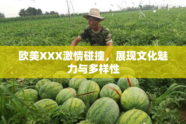 欧美XXX激情碰撞，展现文化魅力与多样性
