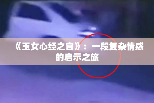 《玉女心经之官》：一段复杂情感的启示之旅
