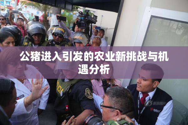 公猪进入引发的农业新挑战与机遇分析