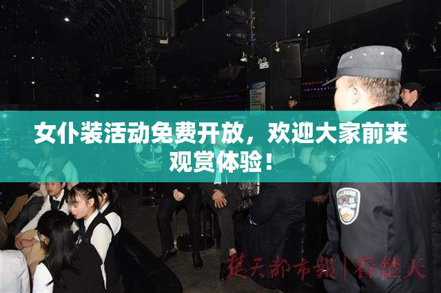 女仆装活动免费开放，欢迎大家前来观赏体验！
