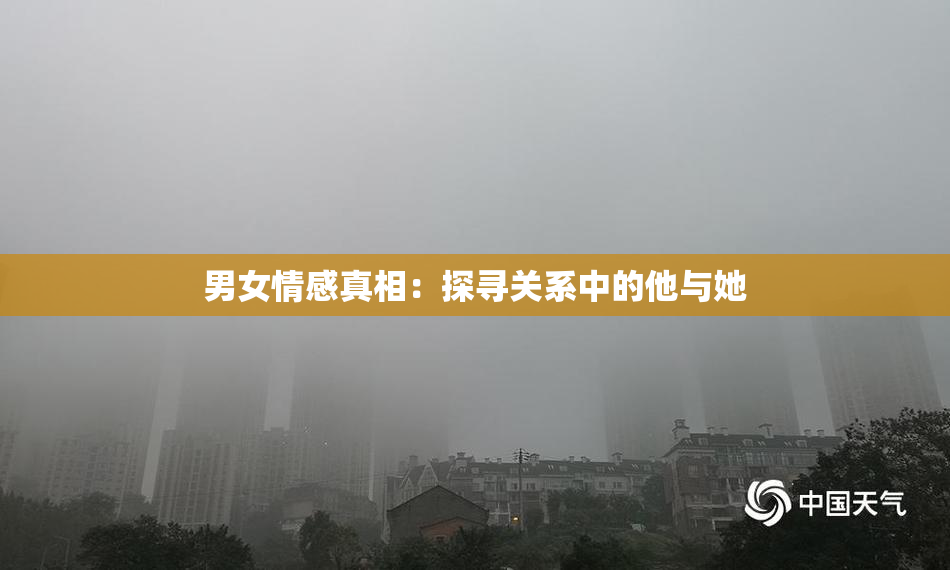 男女情感真相：探寻关系中的他与她