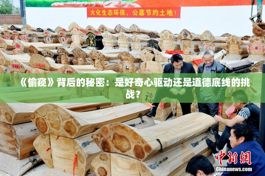 《偷窥》背后的秘密：是好奇心驱动还是道德底线的挑战？