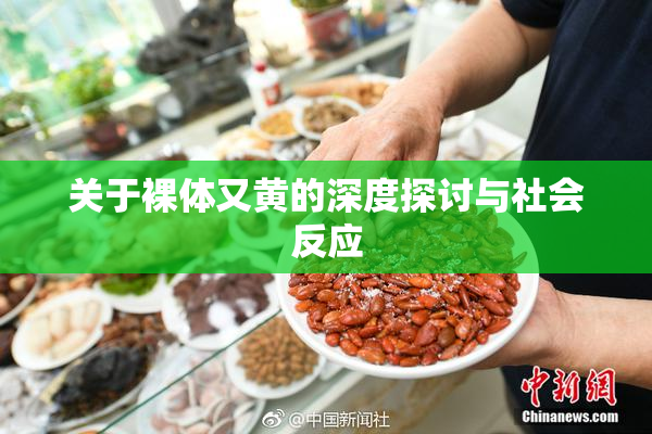 关于裸体又黄的深度探讨与社会反应