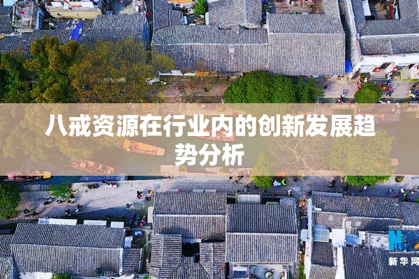 八戒资源在行业内的创新发展趋势分析