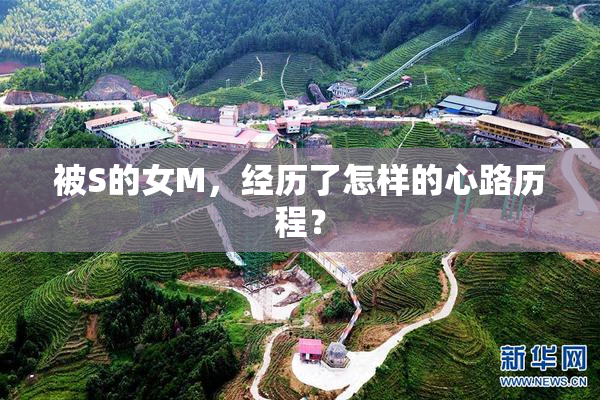 被S的女M，经历了怎样的心路历程？