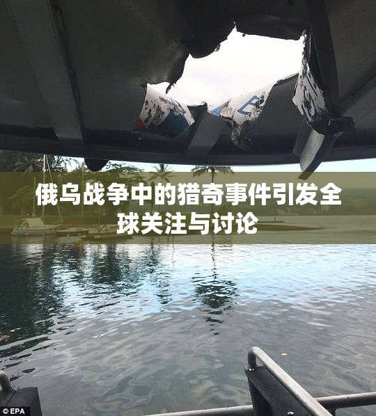 俄乌战争中的猎奇事件引发全球关注与讨论