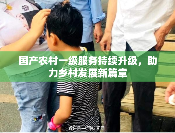 国产农村一级服务持续升级，助力乡村发展新篇章