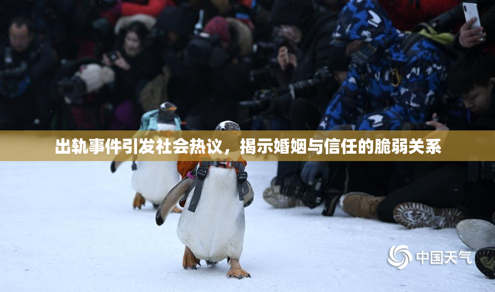 出轨事件引发社会热议，揭示婚姻与信任的脆弱关系