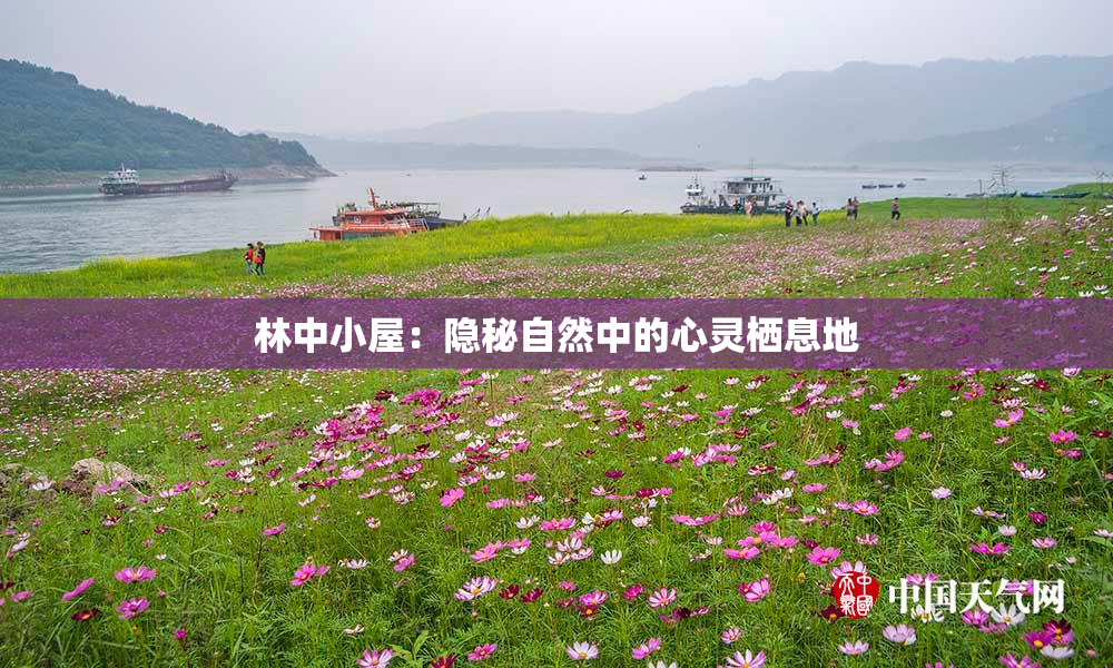林中小屋：隐秘自然中的心灵栖息地