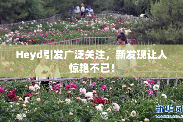 Heyd引发广泛关注，新发现让人惊艳不已！
