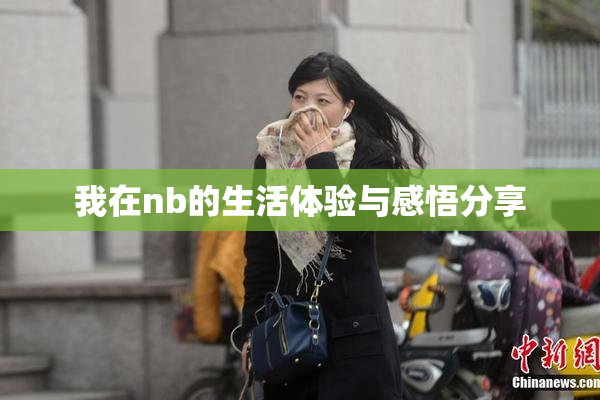 我在nb的生活体验与感悟分享