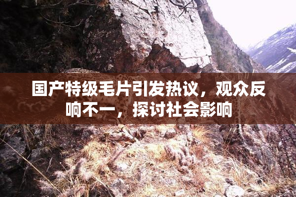 国产特级毛片引发热议，观众反响不一，探讨社会影响