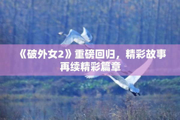 《破外女2》重磅回归，精彩故事再续精彩篇章