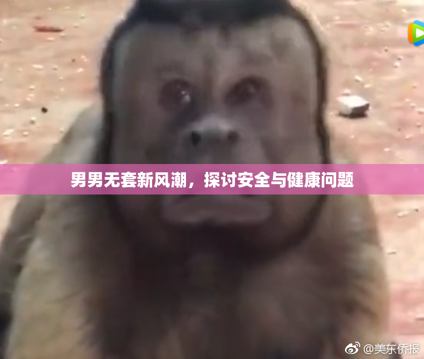 男男无套新风潮，探讨安全与健康问题