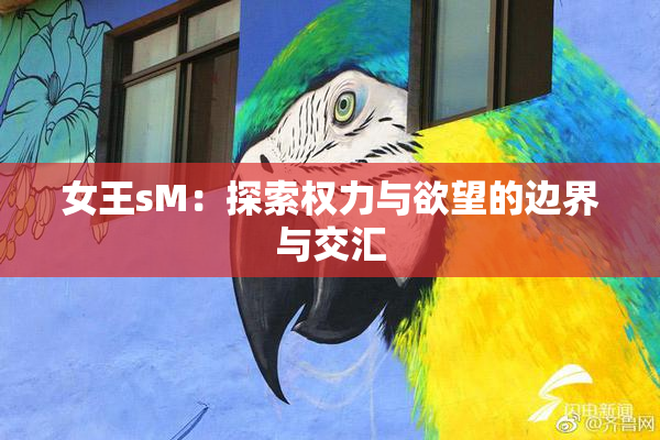 女王sM：探索权力与欲望的边界与交汇