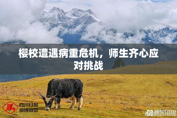 樱校遭遇病重危机，师生齐心应对挑战