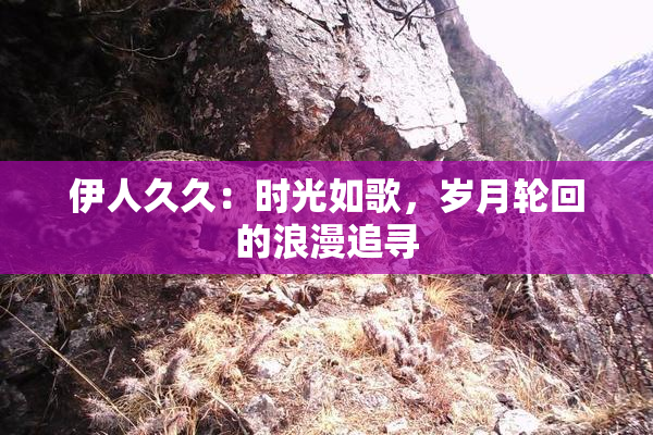 伊人久久：时光如歌，岁月轮回的浪漫追寻