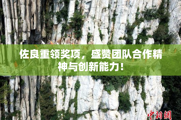 佐良重领奖项，盛赞团队合作精神与创新能力！