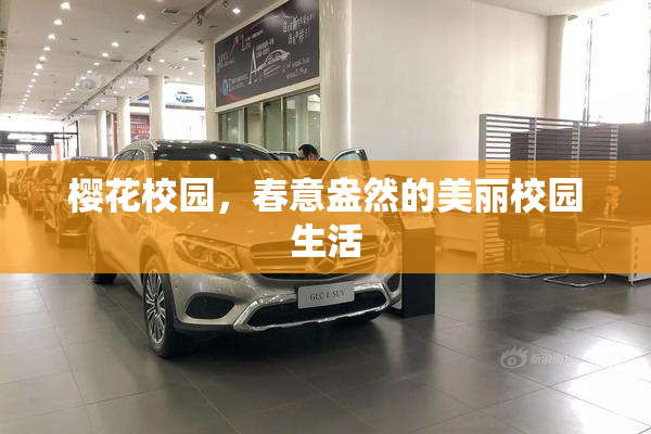 樱花校园，春意盎然的美丽校园生活