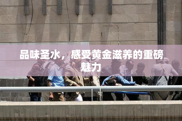 品味圣水，感受黄金滋养的重磅魅力
