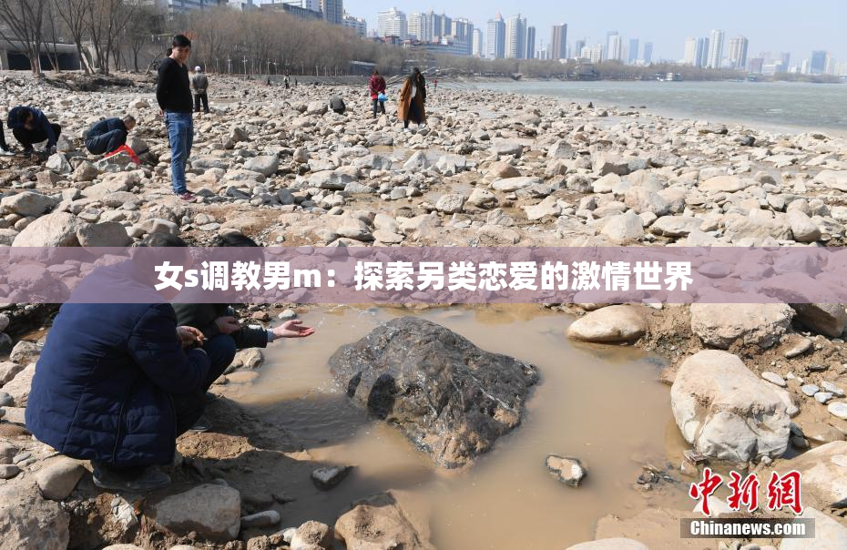 女s调教男m：探索另类恋爱的激情世界