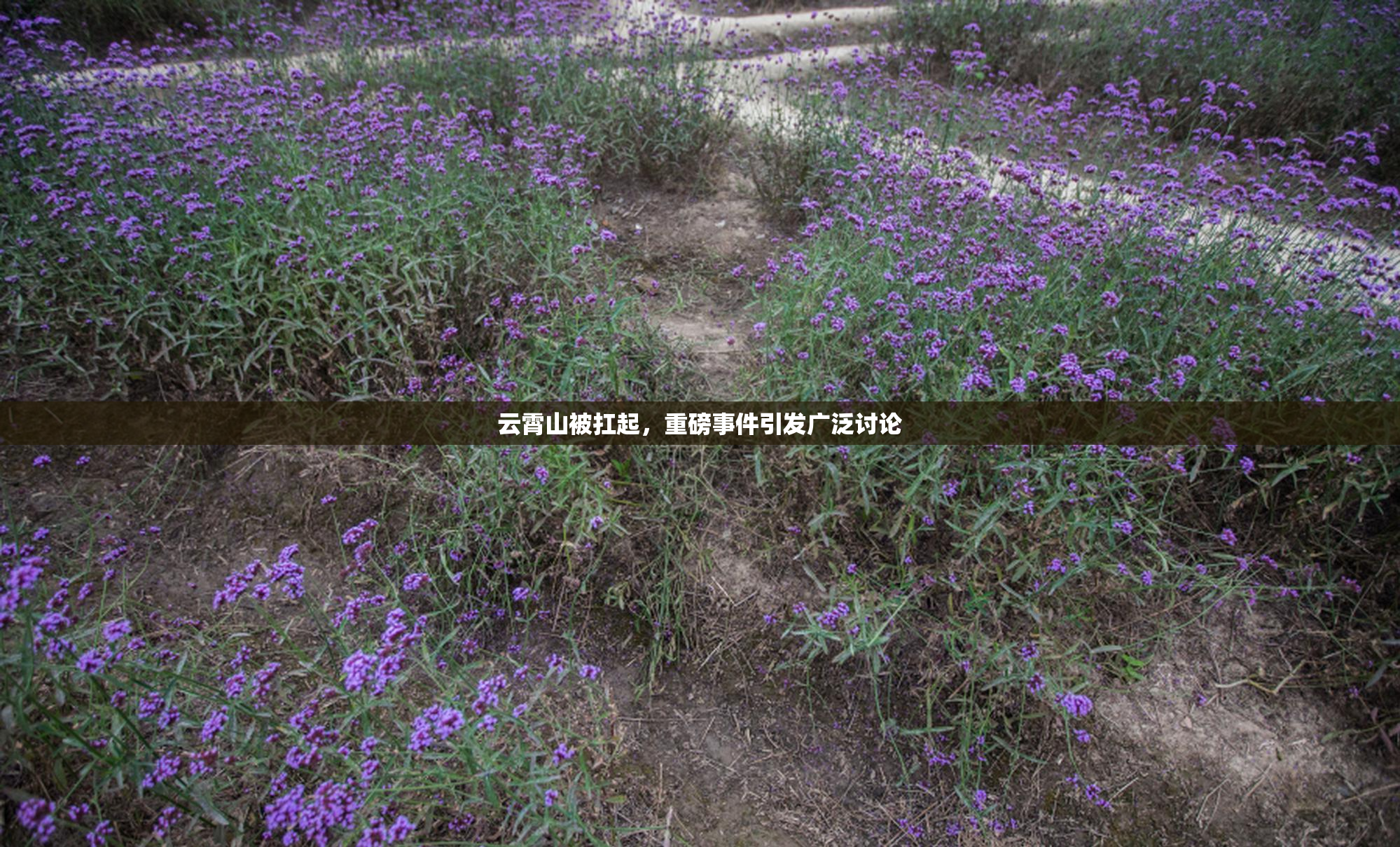 云霄山被扛起，重磅事件引发广泛讨论