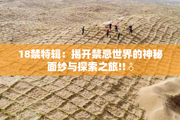 18禁特辑：揭开禁忌世界的神秘面纱与探索之旅!!♂