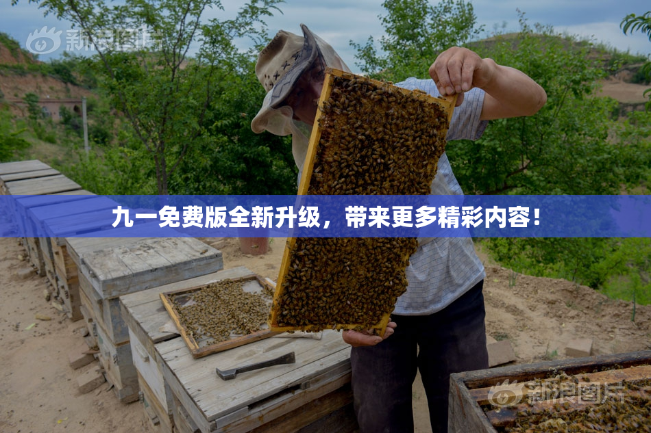 九一免费版全新升级，带来更多精彩内容！