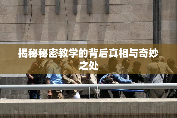 揭秘秘密教学的背后真相与奇妙之处