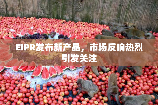 EIPR发布新产品，市场反响热烈引发关注