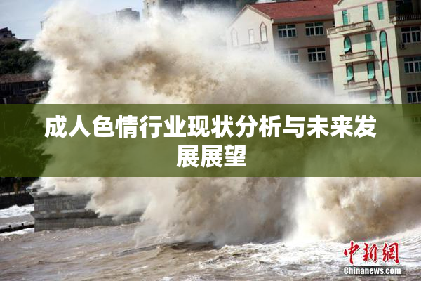 成人色情行业现状分析与未来发展展望